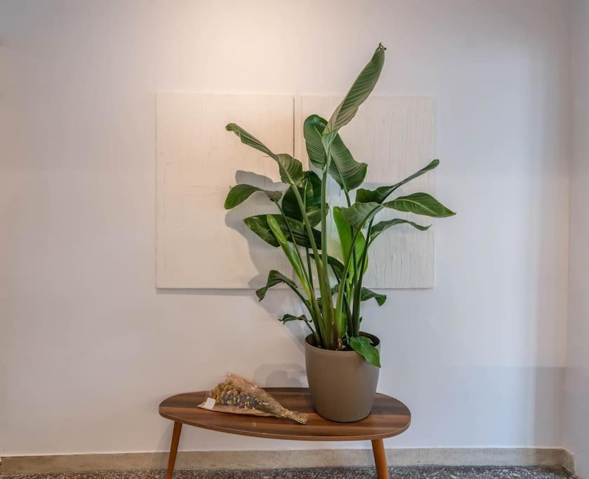 Apartamento Botanical Atenas Exterior foto